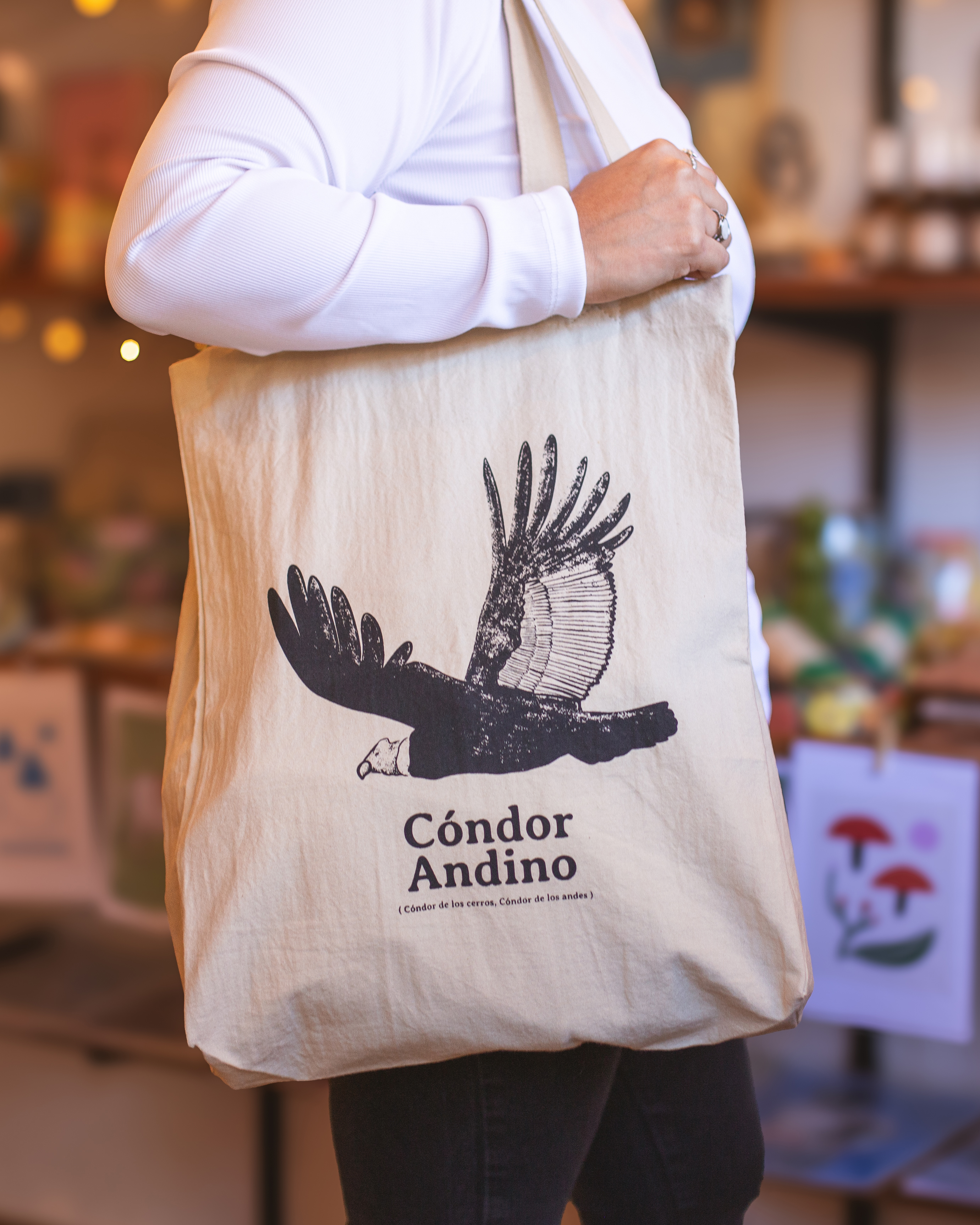 Cóndor andino - reencuadre de bosque